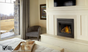 Napoleon Fireplaces & Inserts in the Lewiston Clarkston Valley Area - Kinzer Air