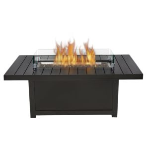 Napoleon Fire Places & Inserts